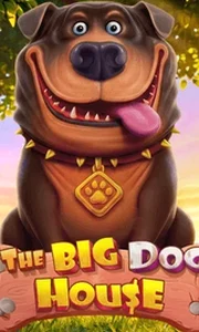 The Big Dog House